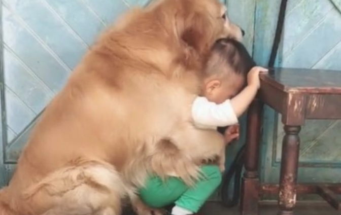 宝宝犯错误了，爸爸拿着棍子打宝宝，狗狗的姿势，令人打动的流泪