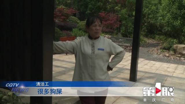 某小区宠物狗接连死亡 警方介入调查