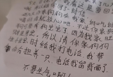狗狗走丢4天后回来了,背上还夹着张纸条,主人读完字后直言想哭