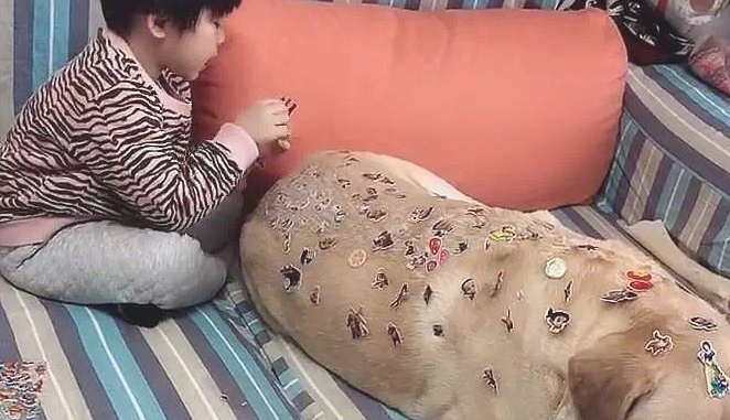 狗狗一脸不情愿，看过眼背部却被逗笑了：闺女也太过分了