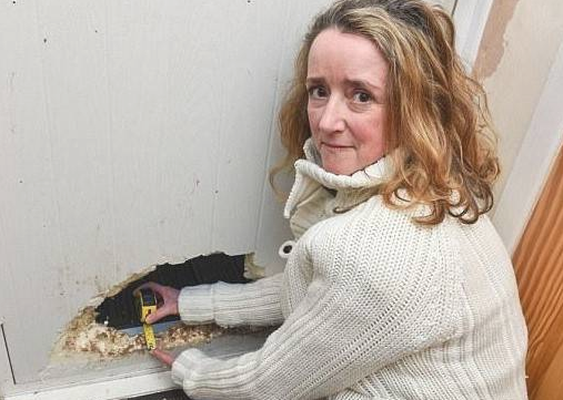 狗狗玩疯后，头被卡入一个洞里，获知实情主人就说承受不住！