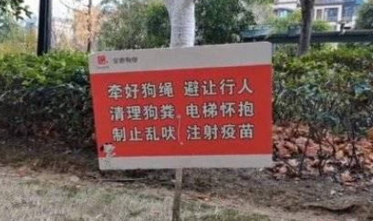 女子跳楼控诉狗不栓绳 家人反对打狗