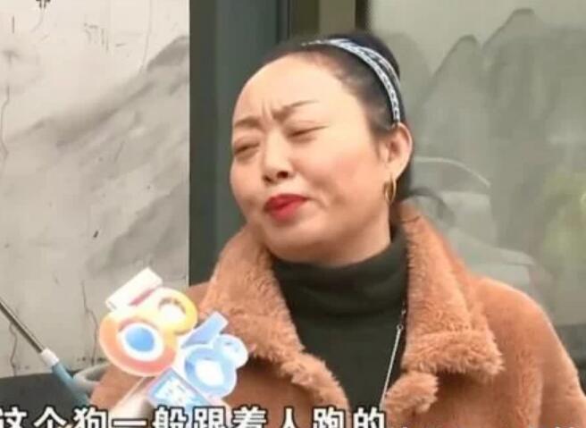 狗跑车底被撞死,狗主人不让司机走:撞死我儿子赔钱