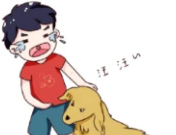 电子犬牌-湖北安众科技助力犬只系统管理