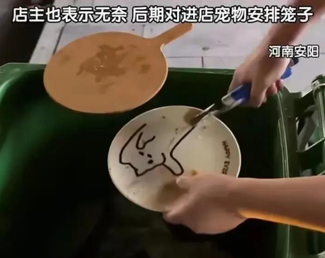 顾客带宠物狗上座吃饭,老板无奈将餐具销毁