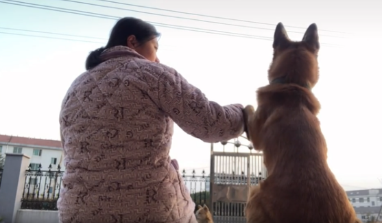 我生完娃后，那只忍了9个月的狗狗，来“报仇”了！