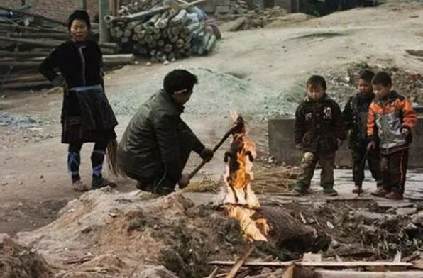小区来了只流浪狗,保安男子烧了堆火:烧烤狗肉!
