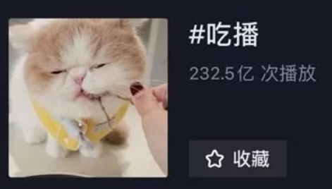 狗吃牛排、猫吃龙虾千万关注的宠物吃播是什么生意