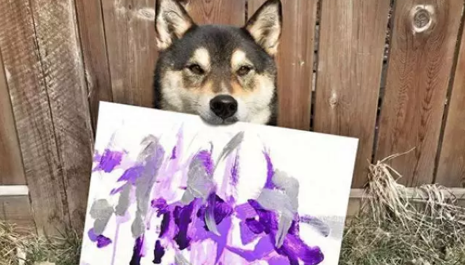 柴犬靠“卖画”为生,为主人赚了3万多,连狗都比我有才华