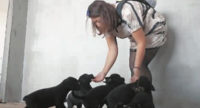 29岁女子为救狗散尽百万家财 无奈向社会求助