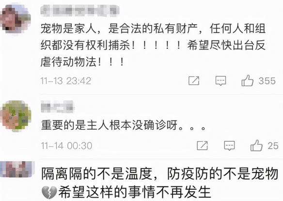 “隔离宠物狗被扑杀”,别拿别人的宠物当畜生