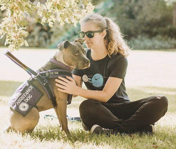 被比特犬持续拨拉,主人疑虑中叫了救护车,意外事故捡回来一条命