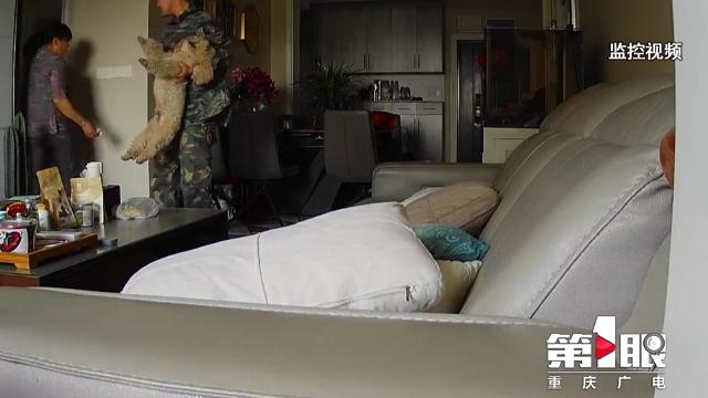 某小区宠物狗接连死亡 警方介入调查