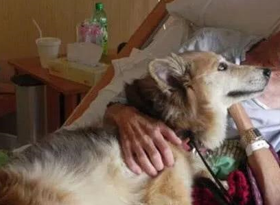 狗的一生很短暂，对狗狗来讲，什么东西最珍贵