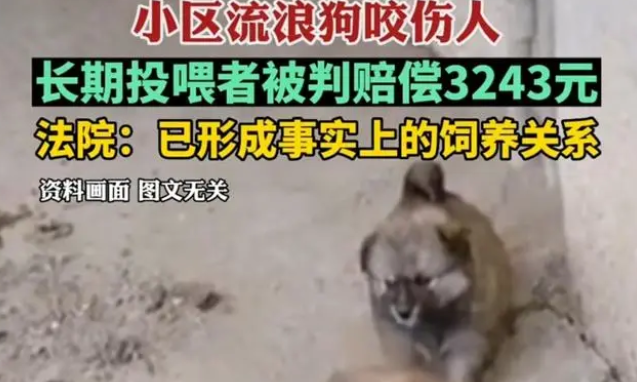 陕西流浪狗咬伤居民,长期投喂者被判赔偿3000元,网友:善没善报