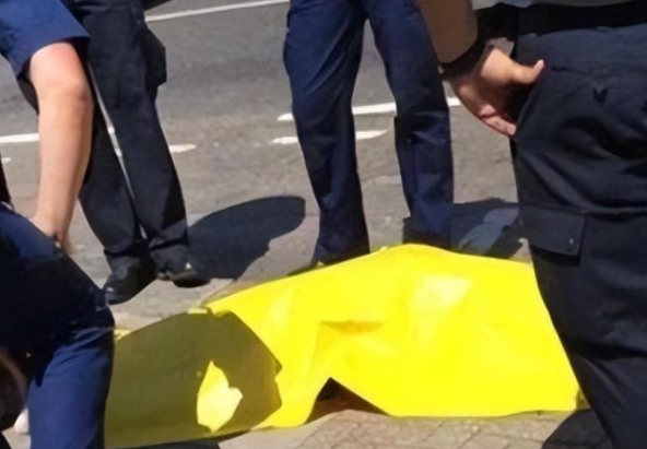狗狗热天被带出门,半路上中暑了主人还不知道,一个举动酿成大错