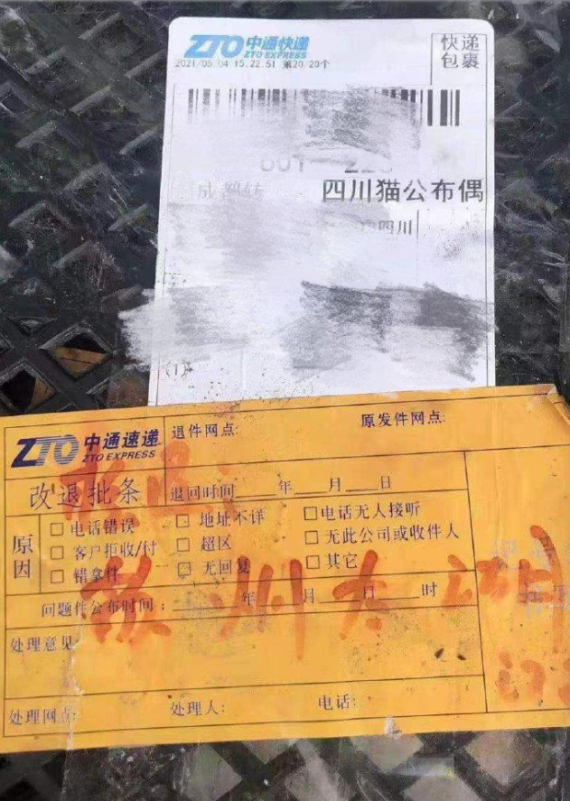 苏州再现活体宠物盲盒 30余猫狗幼崽在中通快递中转站淋雨一整夜