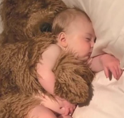 让小宝宝和狗狗独立在家里,推开门后心中一暖:这界面太温暖了吧