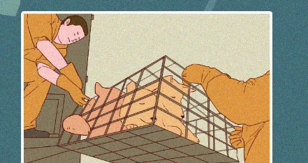 中国人,你凭什么看不起中国土狗?