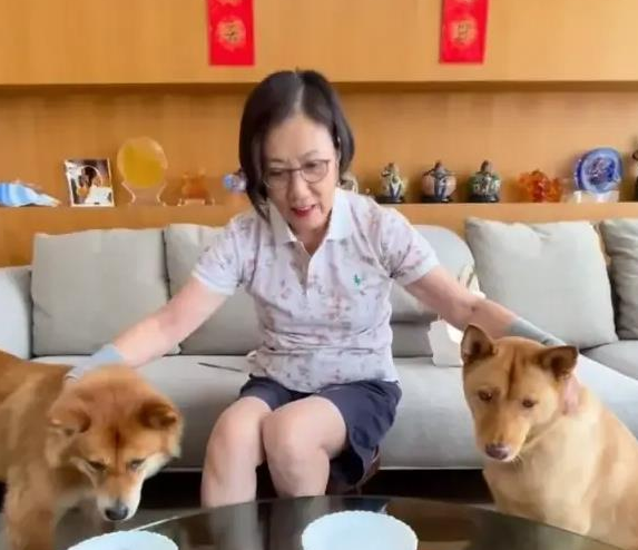 汪明荃和罗家英月饼收多了,竟拿出来喂狗了?