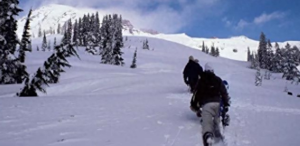网友登山途中遇到一只黑汪,本以为是流浪狗可没想到..