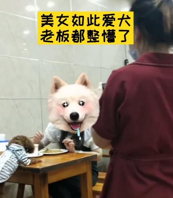 狗狗上桌吃饭,惊呆众人,网友:以后不会去了