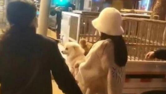 遛狗扑倒小孩,狗主人却称“狗比娃金贵”!警方:处罚狗主人1300元