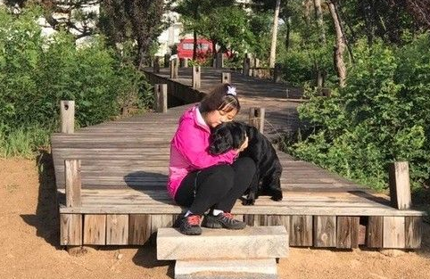 大陆导盲犬珍妮服务8年后退休 陪伴养老的新主人