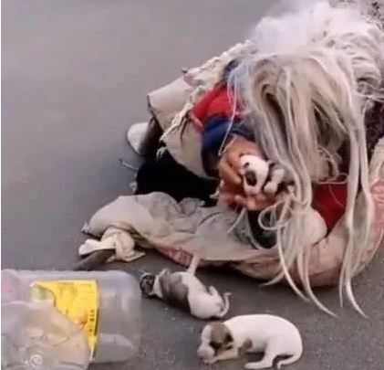 流浪汉遇到流浪狗,立马把狗揽入怀里,画面让人看着心疼