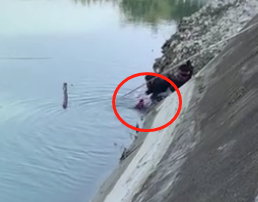小狗掉入冰冷河中，主人撕心裂肺的呐喊着，而有人却这样讽刺她…