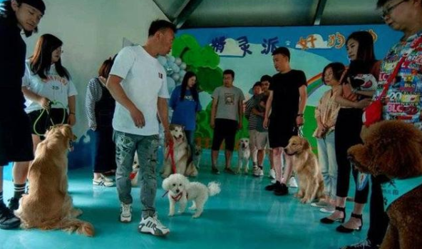 济南有了首家文明养犬宠物俱乐部
