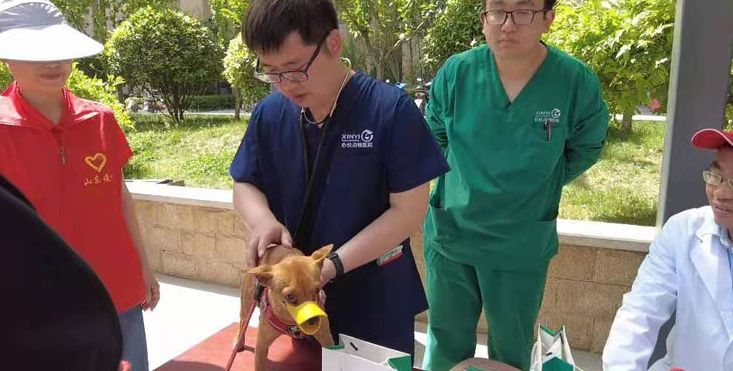“健康养犬,预防狂犬病”公益科普进社区 ——中共山东省动物疫病预防与控制中心第一支部“我为群众办实事”活动纪实