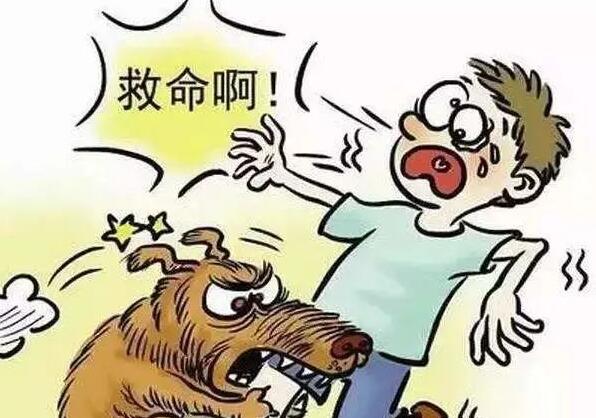 注意!铲屎官别忽视了,这都是狗狗得“狂犬病”的征兆