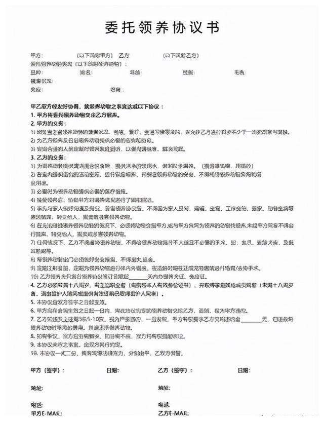 800元的柴犬、500元的布偶猫,我来到了宠物们的“人间炼狱”
