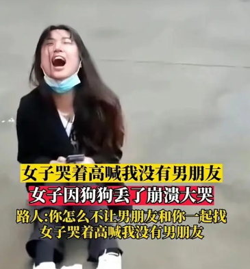女孩丢了宠物狗,坐在大街上崩溃大哭