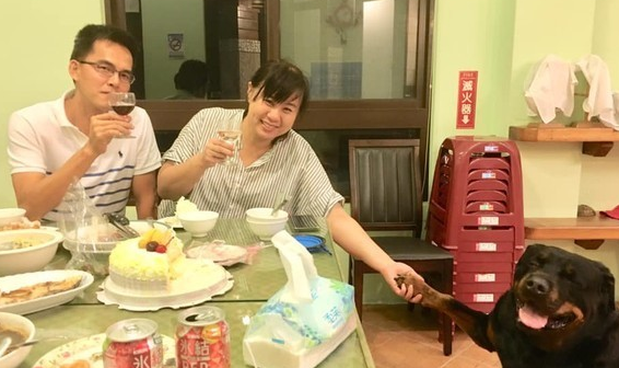 美女摸好开心、男生摸心已死 狗狗完美诠释经典表情