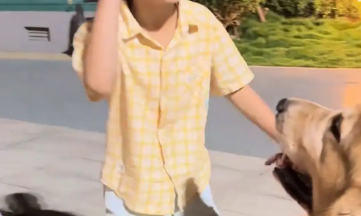 小男孩想摸金毛，结果却一把紧紧搂住金毛的脖子