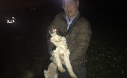 牧羊犬深夜离家出走 值班警察跳下田带它回家
