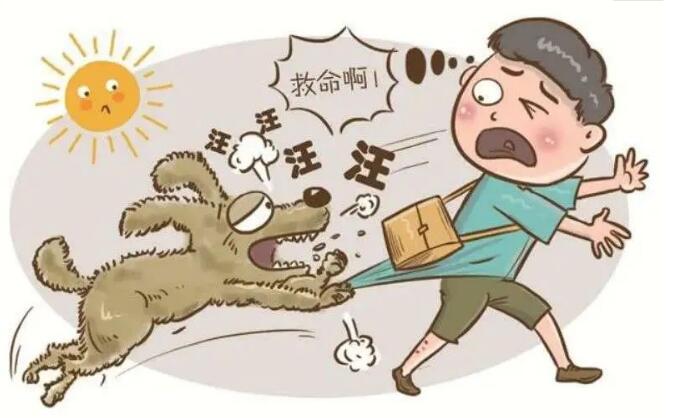 注意!铲屎官别忽视了,这都是狗狗得“狂犬病”的征兆
