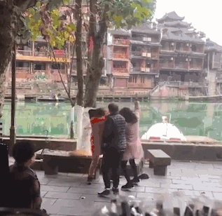 夫妻狗主的最后疯狂,不满宠物狗被驱赶,猛抽环卫工20余棍!