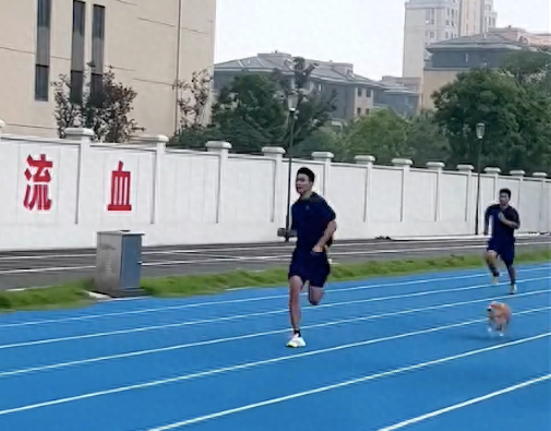 狗狗和消防员们比赛跑步,从落后到率先冲过终点,四驱的真厉害啊