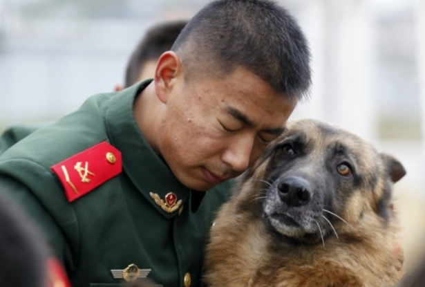 士兵与忠犬的各自照,哪一張会给你落泪