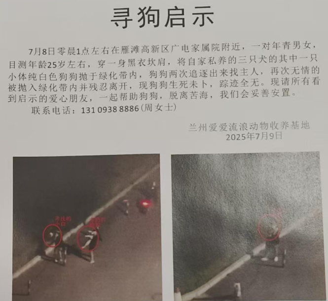 小狗多次被遗弃至绿化带,监控显示它狂奔3公里追主人