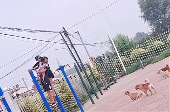 辽宁沈阳一家人被狗围攻,爬上器材不敢下来,单手抱娃太可怜