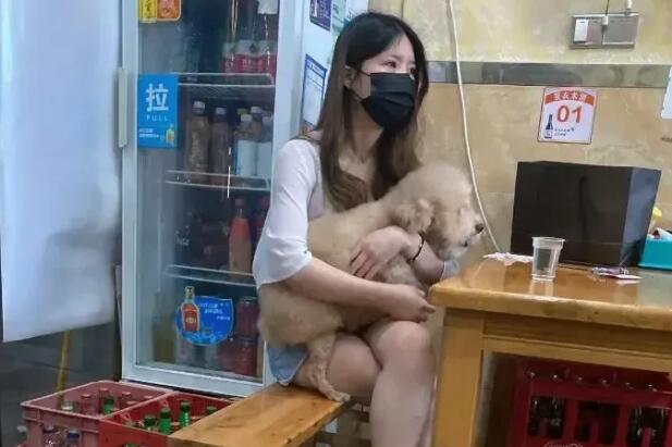 女士把狗狗抱在怀里,让狗狗喝杯子里的水