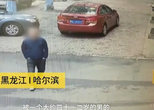 连二哈都偷?哈士奇独自遛弯,不料被出租车司机“顺手牵狗”
