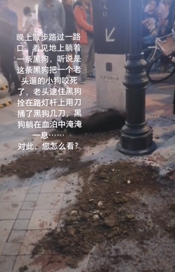大狗咬死未拴绳泰迪,其主人持刀砍死大狗,目击:现场十分凶狠