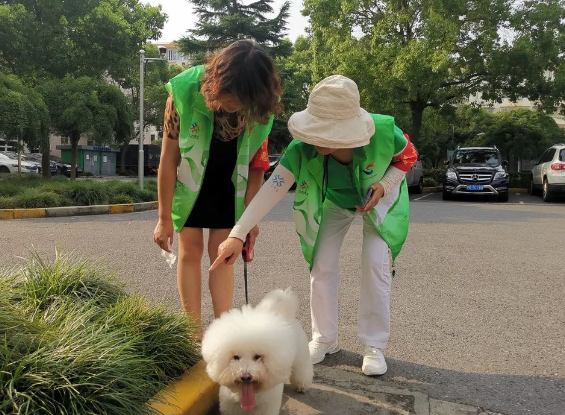 文明城区长效管理|倡导文明养犬,志愿者在行动