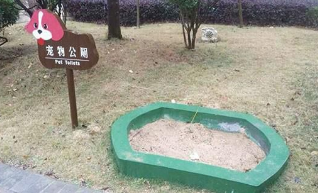 小区为宠物建公厕 网友:再也不担心“狗屎运”