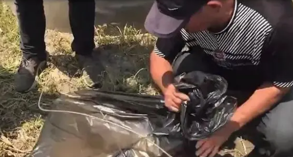 土狗被大爷掷哑铃击中致死,因为抢吃了鸡排